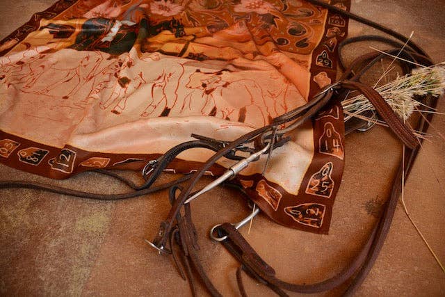 Round Up Silk Wild Rag