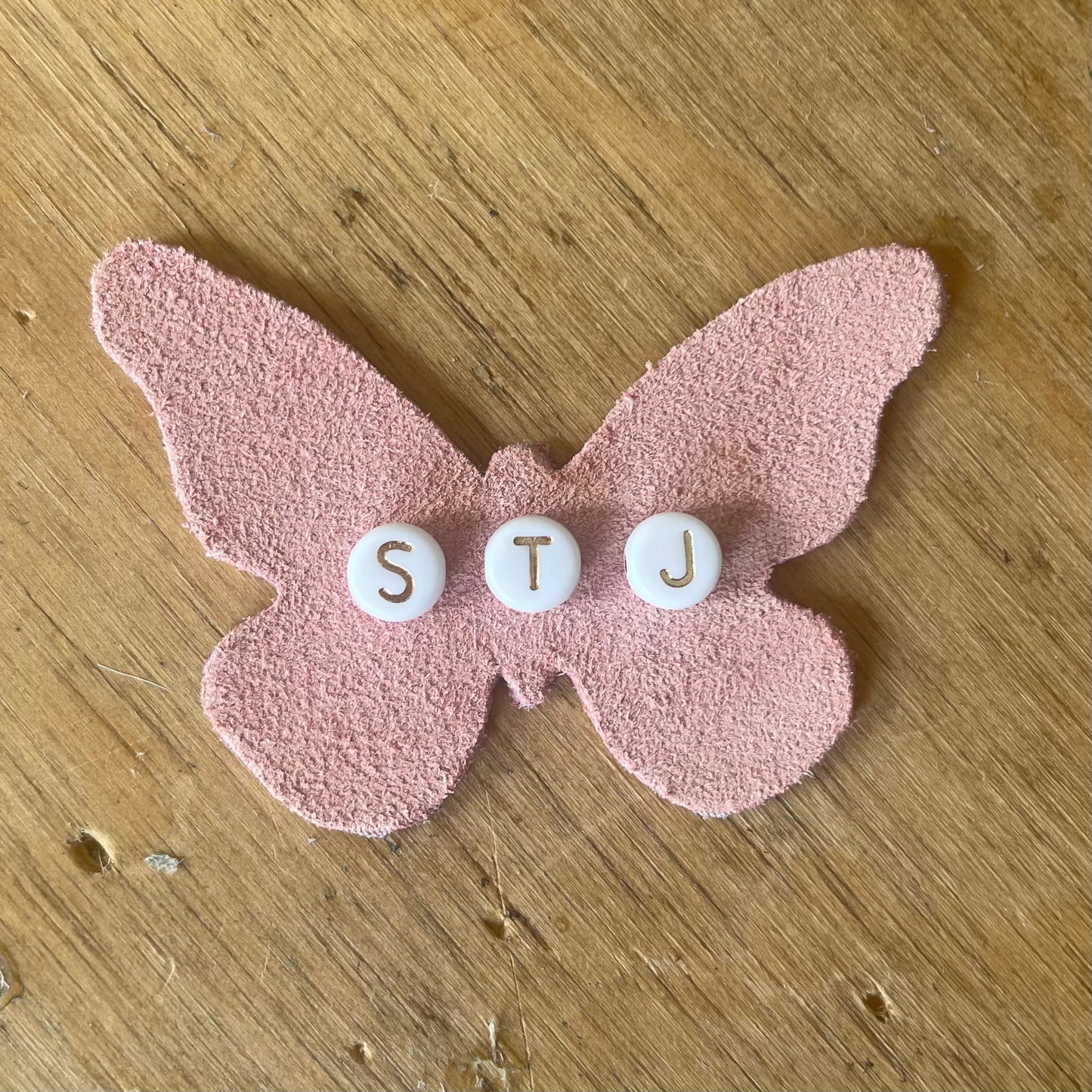 Butterfly name clips