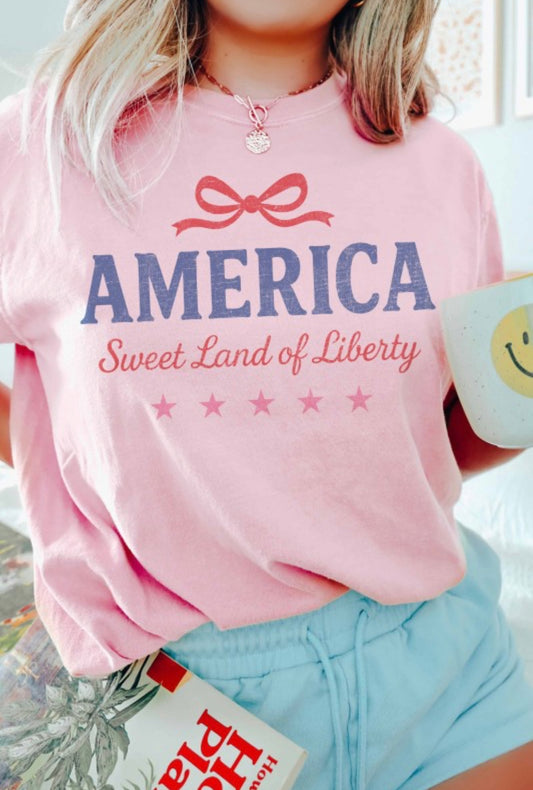 Land of Liberty Tee