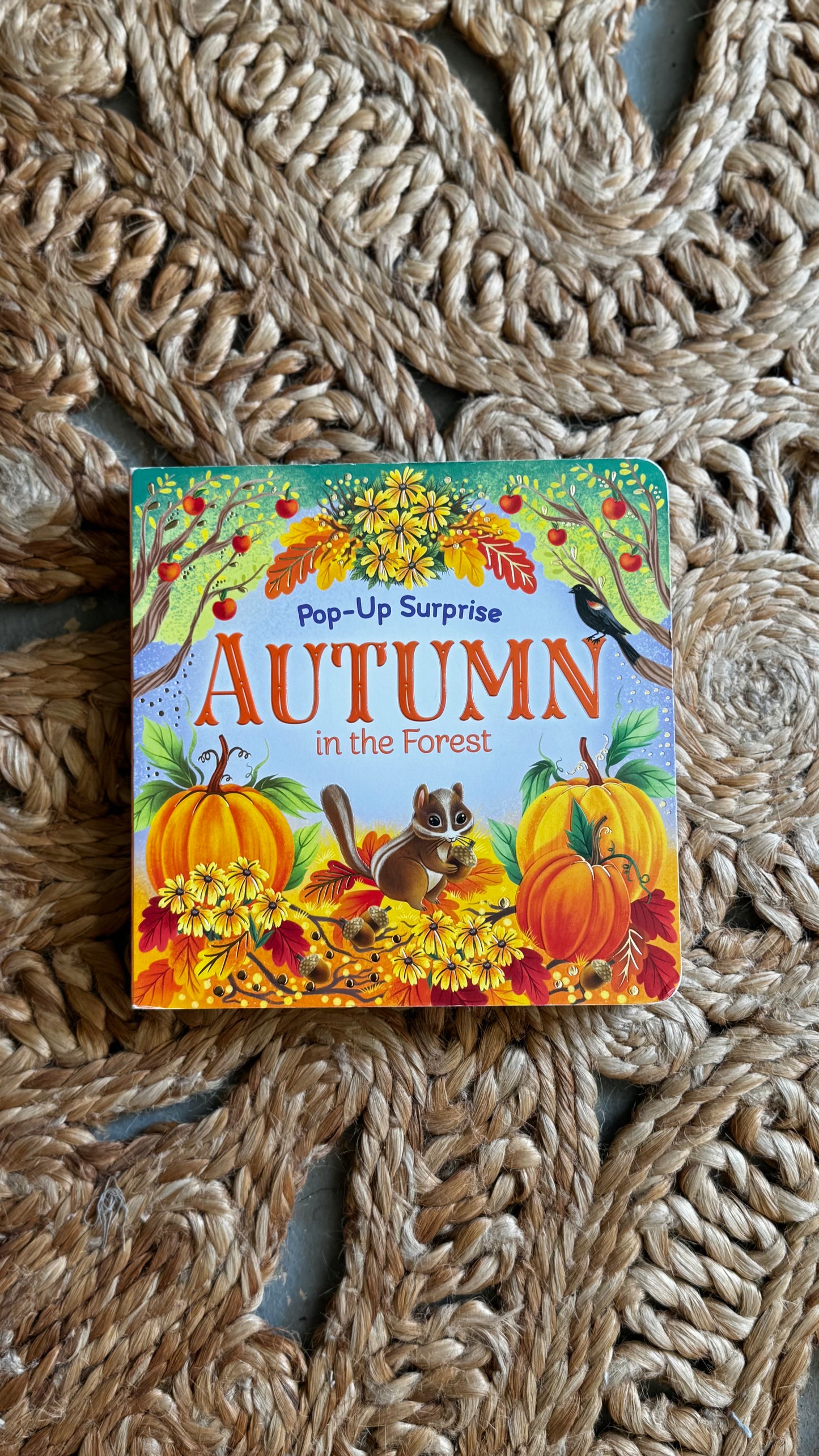Autumn in the Forest Book